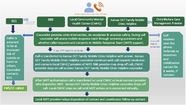 Crisis Call Workflow